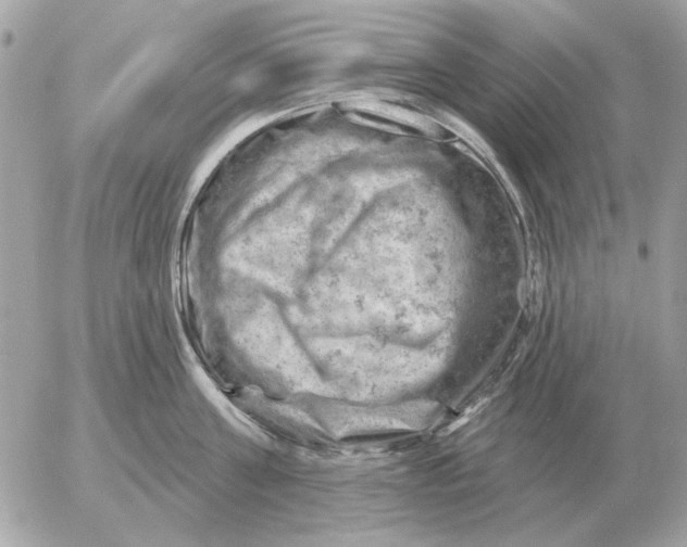 X0000052640811200507221814