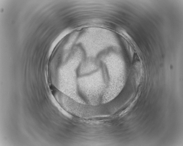 X0000052640812200507221814