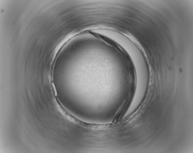 X0000052640813200507221814