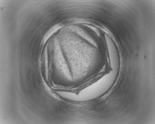 X0000052640814200507221814