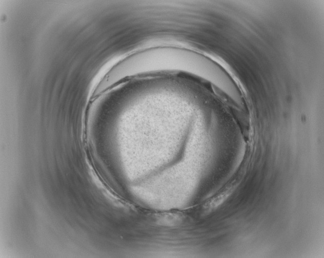 X0000052640815200507221814