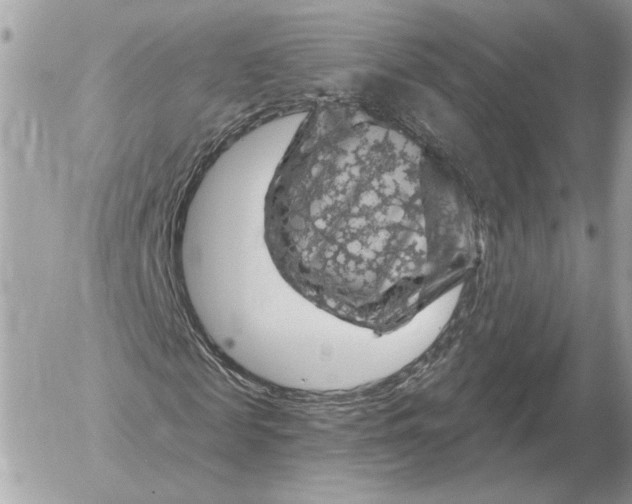 X0000052640817200507221813