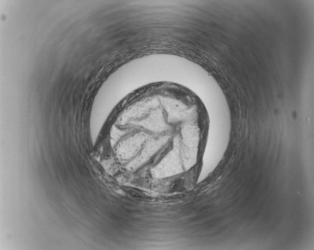 X0000052640818200507221813