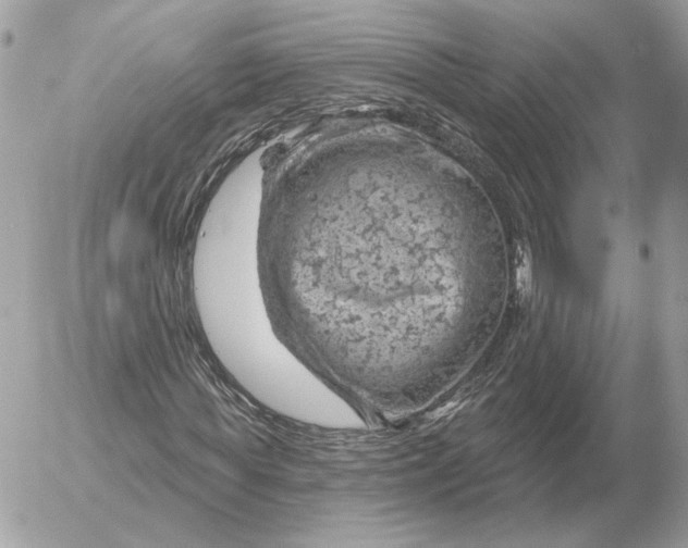 X0000052640819200507221813