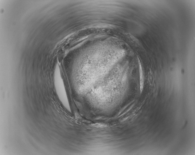 X0000052640821200507221813