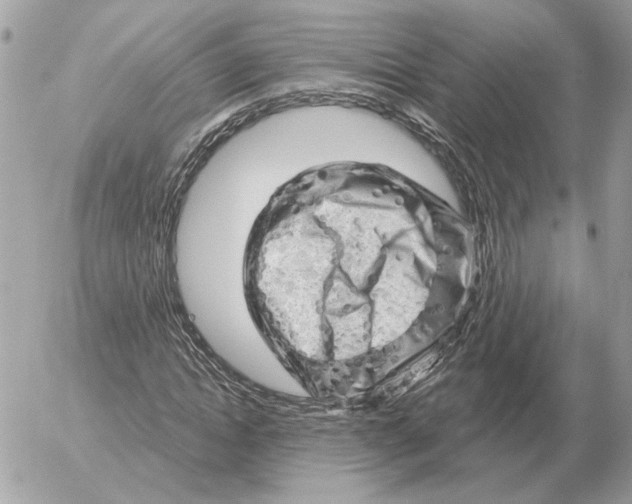 X0000052640822200507221813