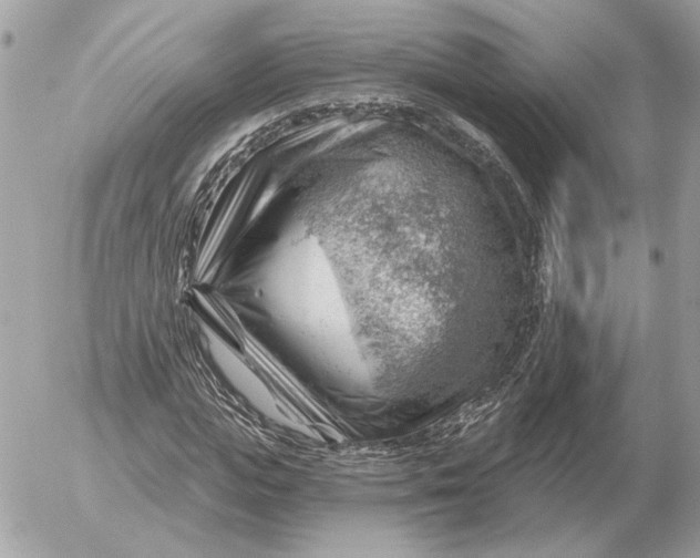 X0000052640823200507221813