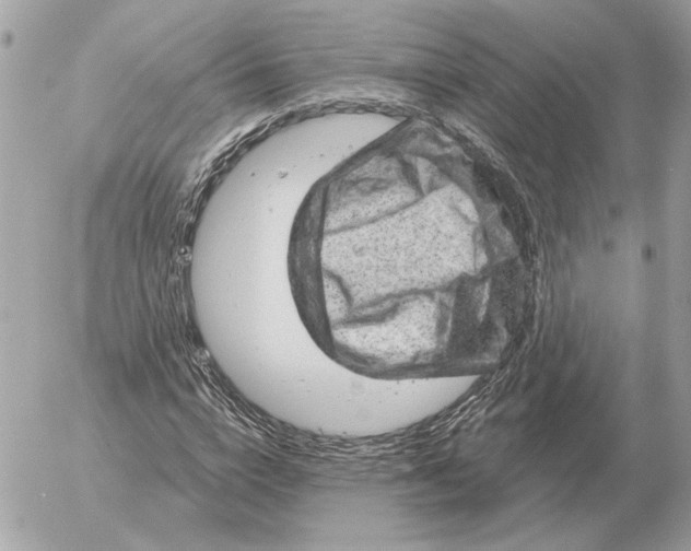 X0000052640824200507221813