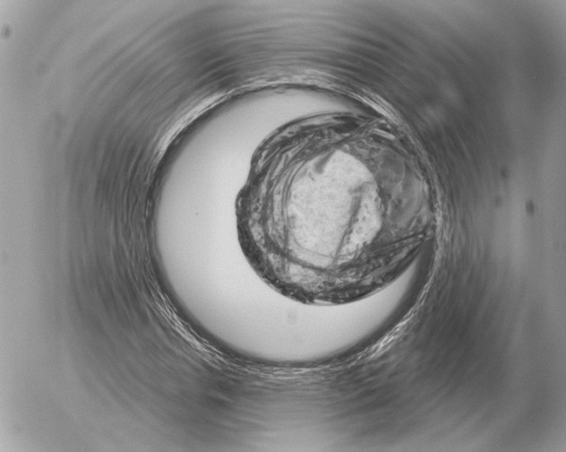 X0000052640826200507221813