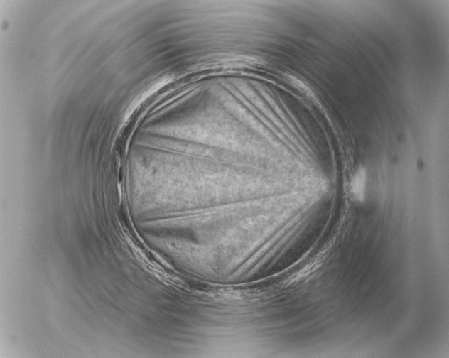 X0000052640827200507221813