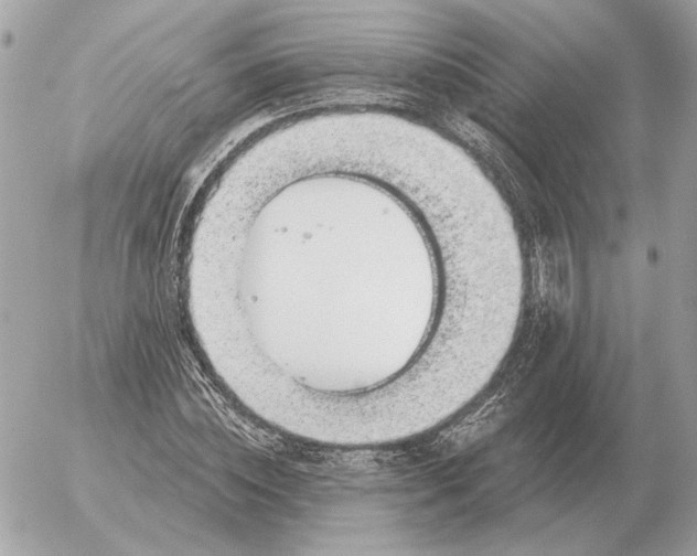 X0000052640828200507221813