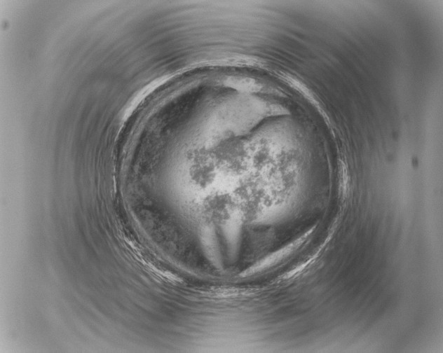 X0000052640829200507221813