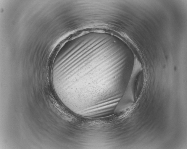 X0000052640830200507221813