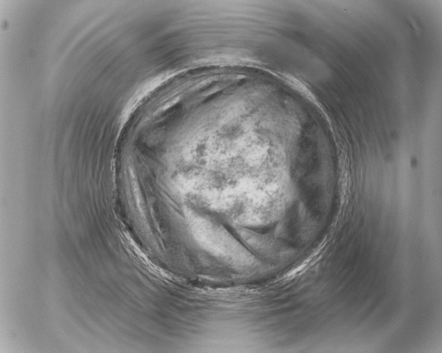 X0000052640831200507221813