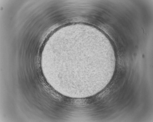 X0000052640832200507221813