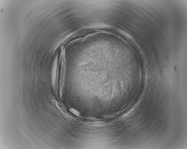 X0000052640833200507221813