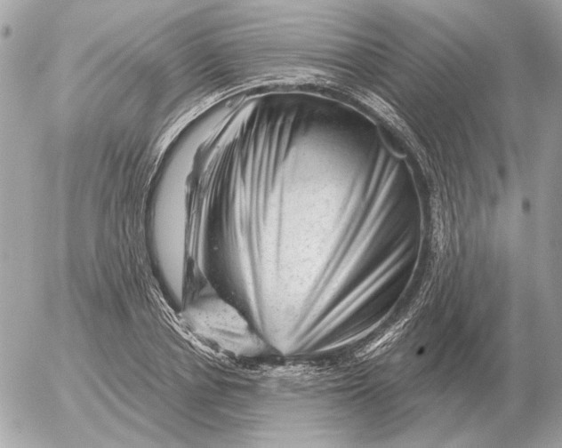 X0000052640834200507221813