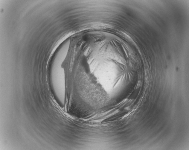 X0000052640835200507221813