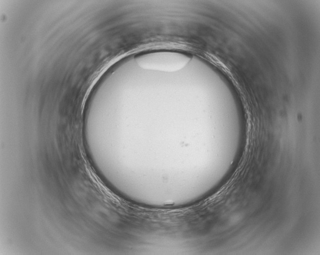 X0000052640836200507221813