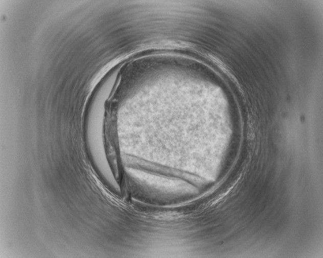 X0000052640837200507221813