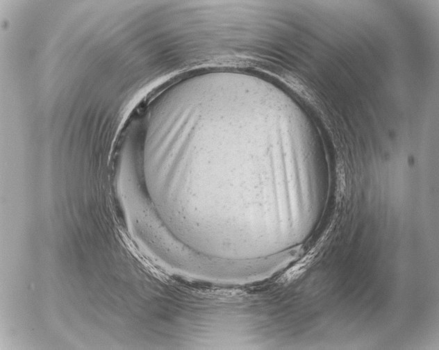 X0000052640838200507221813