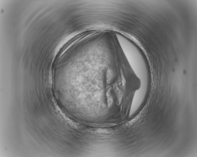 X0000052640839200507221813