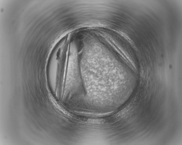 X0000052640840200507221813