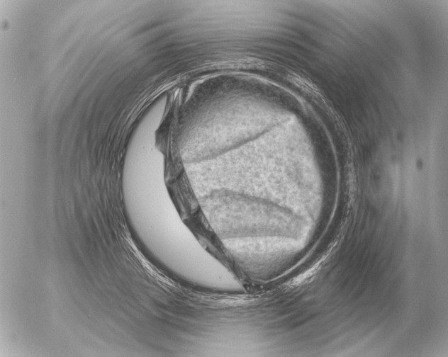 X0000052640841200507221813