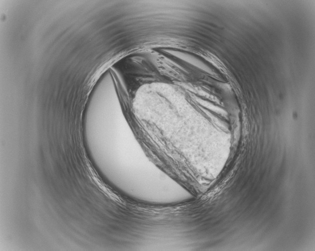 X0000052640842200507221813