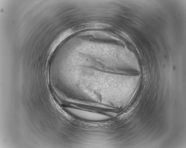 X0000052640843200507221813