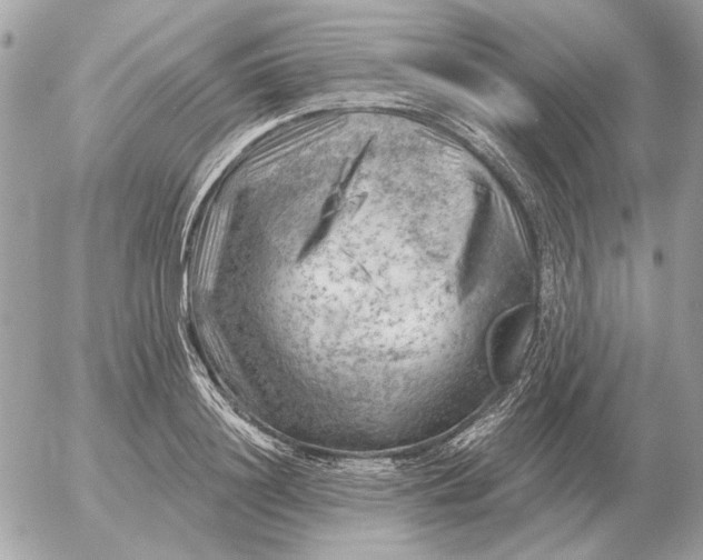 X0000052640844200507221813