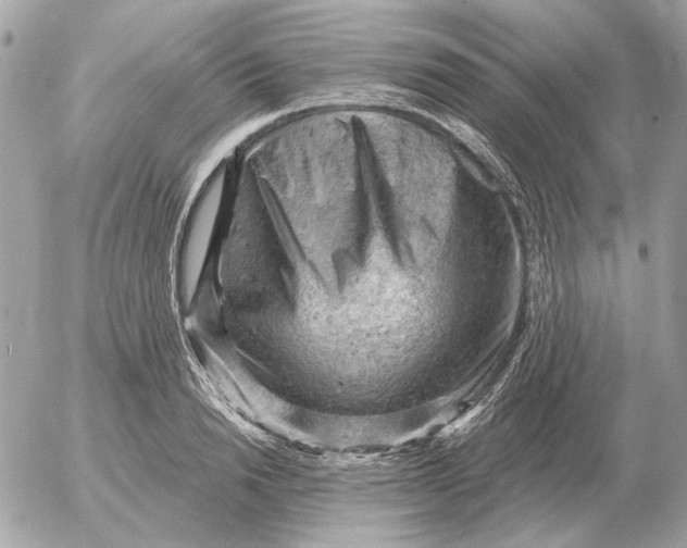 X0000052640846200507221813