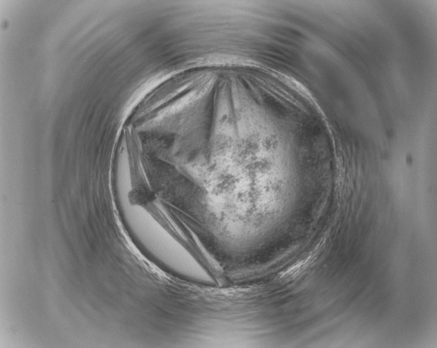 X0000052640847200507221813