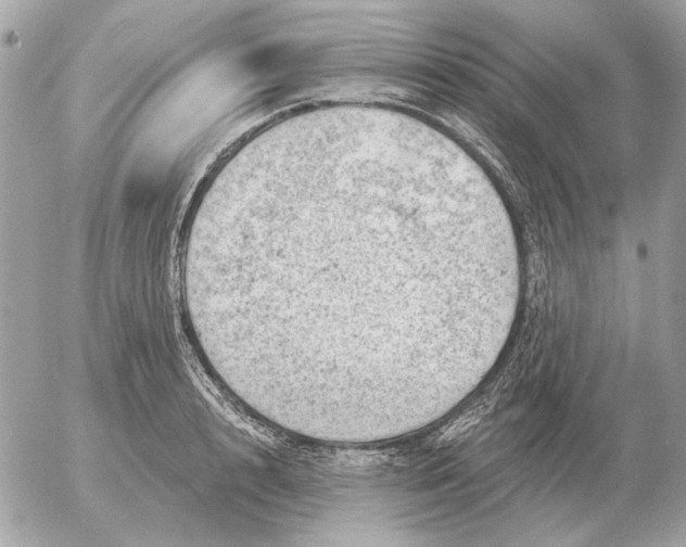 X0000052640848200507221813