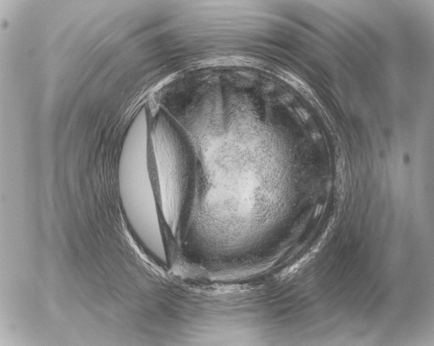 X0000052640849200507221813