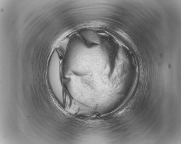 X0000052640850200507221813