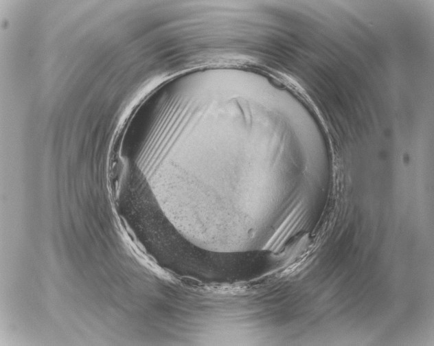 X0000052640851200507221813