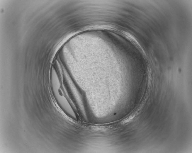 X0000052640852200507221813