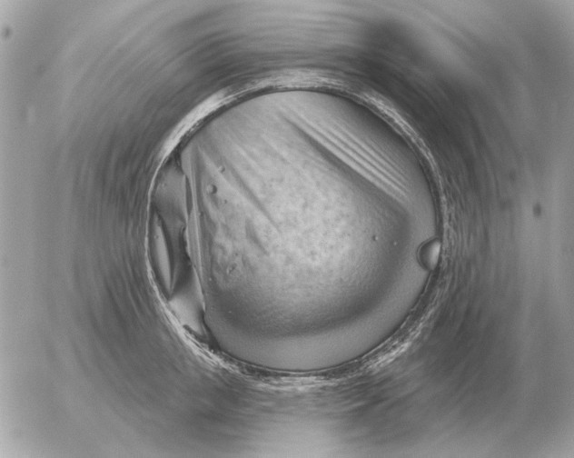 X0000052640853200507221813