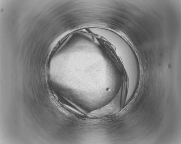 X0000052640854200507221813