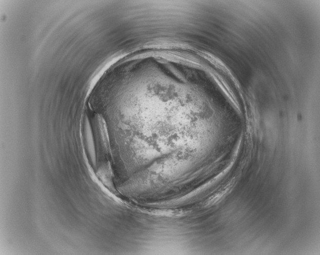 X0000052640855200507221814