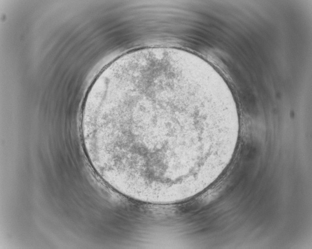 X0000052640856200507221814