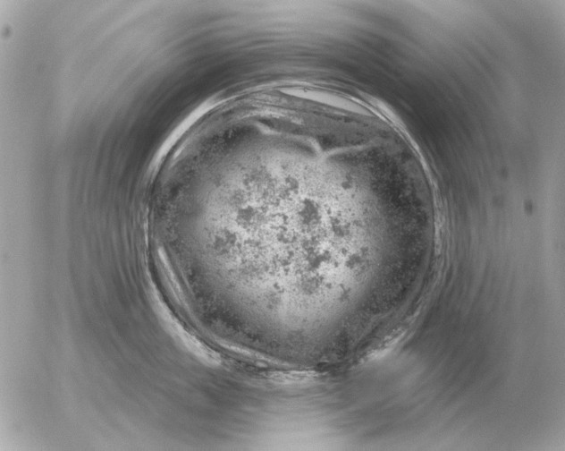 X0000052640859200507221814