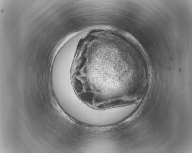 X0000052640860200507221814