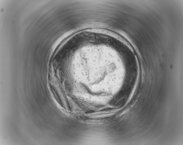 X0000052640861200507221814