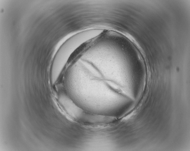 X0000052640862200507221814