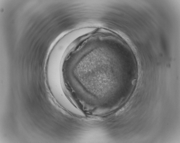 X0000052640864200507221814