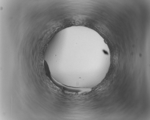 X0000052640865200507221813