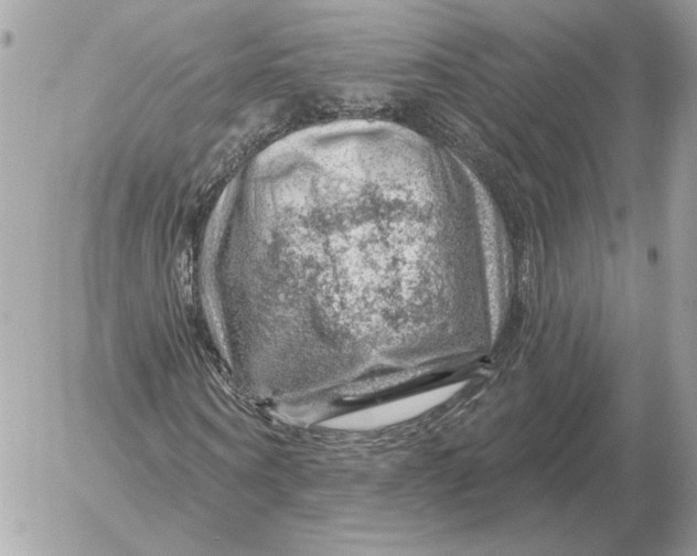 X0000052640866200507221813