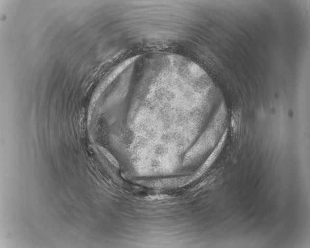 X0000052640867200507221813